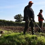 le gouvernement envisage un délit d'alcoolémie et des demi-journées sans chasse