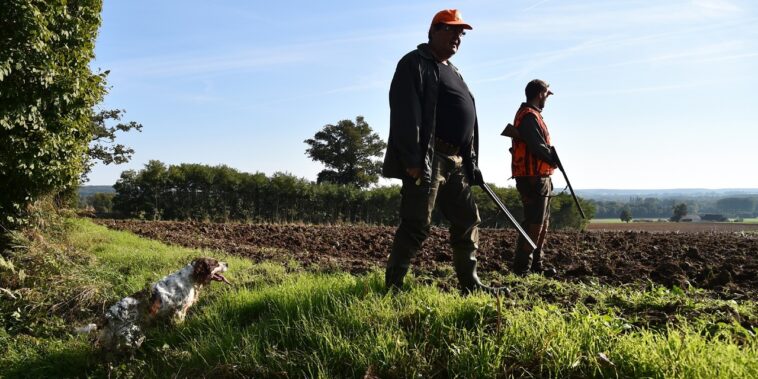 le gouvernement envisage un délit d'alcoolémie et des demi-journées sans chasse