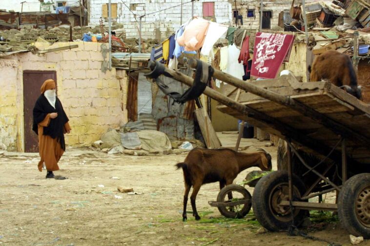 les « koutchis », charrettes tirées par des animaux, n’ont plus leur place à Casablanca