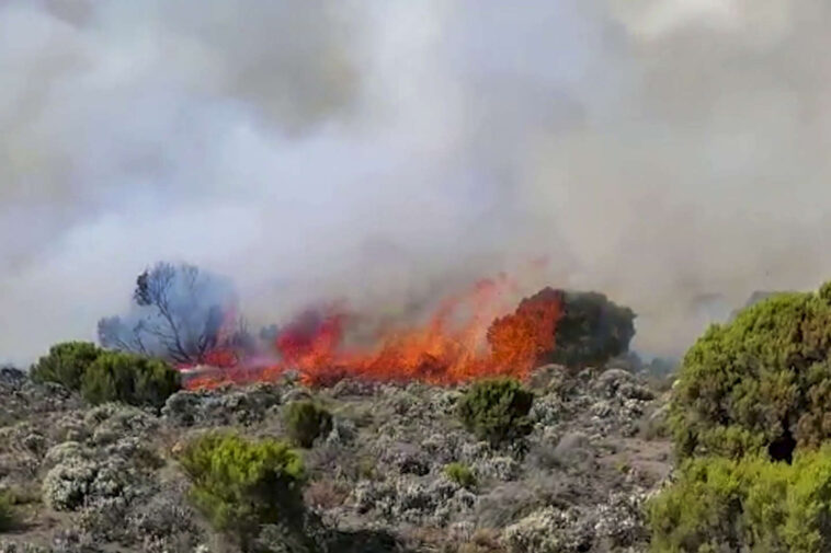 l’incendie sur le Kilimandjaro est « maîtrisé »