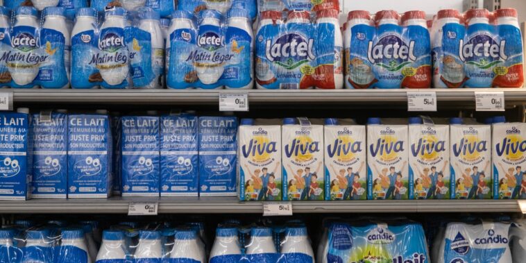 pourquoi le prix du lait pourrait augmenter l’année prochaine