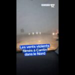 "Le panneau, il s'est envolé!": les vents violents filmés à Cantin dans le Nord