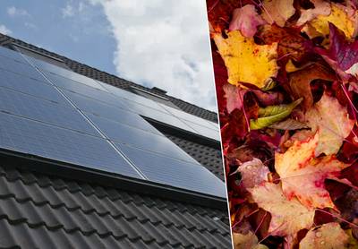 Comment entretenir vos panneaux solaires en automne et en hiver?