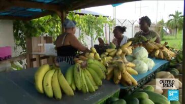 Conséquence des pluies diluviennes : la Martinique manque de fruits et légumes