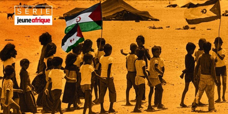 « De Dakhla à Tindouf, comment je suis devenu séparatiste » – Jeune Afrique