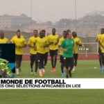 Focus sur les sélections africaines en lice pour la coupe du monde 2022