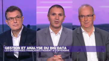 Gestion et analyse du big data : les entreprises françaises passent à l’offensive