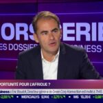 Hors-Série Les Dossiers BFM Business : Cop 27, une opportunité pour l'Afrique ?