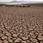 L'UE promet plus d'un milliard d'euros pour l'adaptation de l'Afrique au changement climatique