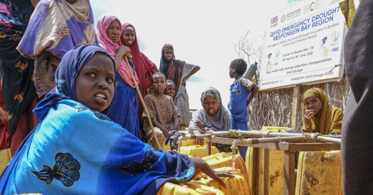 La Chaîne du Bonheur a récolté plus de sept millions de francs pour l'Afrique de l'Est - rts.ch