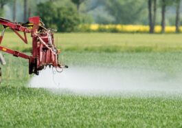 La Suisse continue d'exporter des pesticides interdits, dénonce l'ONG Public Eye - rts.ch