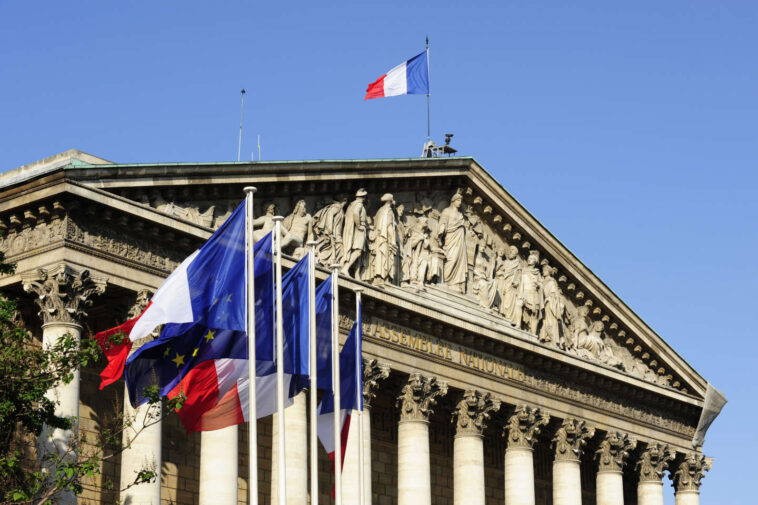 « Le Rassemblement national sort grand vainqueur de la stratégie du 49.3 »