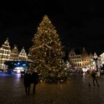 Le sapin de Noël trônera fièrement sur la Grand-Place de Bruxelles dès le 17 novembre