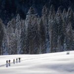 Le village “le plus froid” de France n’a pas connu un jour de gel en octobre: une première