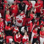 Les fous du stade | Le Journal de Montréal