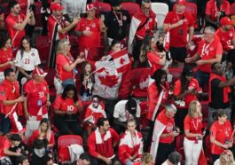 Les fous du stade | Le Journal de Montréal