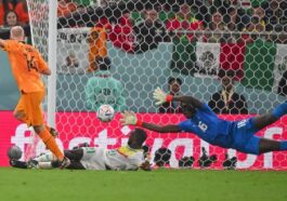 Mondial-2022 : le Sénégal rate son entrée et s'incline face aux Pays-Bas
