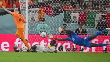 Mondial-2022 : le Sénégal rate son entrée et s'incline face aux Pays-Bas