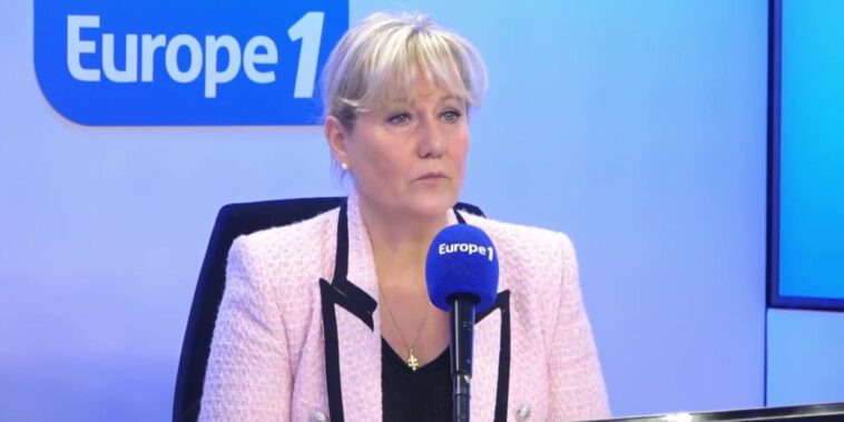 Pour Nadine Morano, «il n'y a rien» qui relève du racisme dans les propos de De Fournas