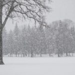 Premières chutes de neige dans l’est du Québec dimanche