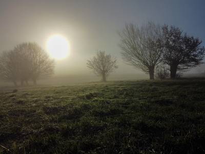 Prudence si vous prenez la route: le pays placé en alerte jaune ce mercredi matin à cause du brouillard