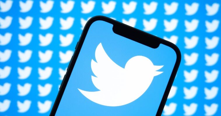 Twitter classé investissement "très risqué" par la plus grande agence de publicité au monde