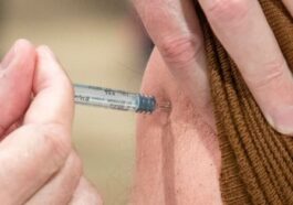 Une piste de vaccin contre les infections urinaires