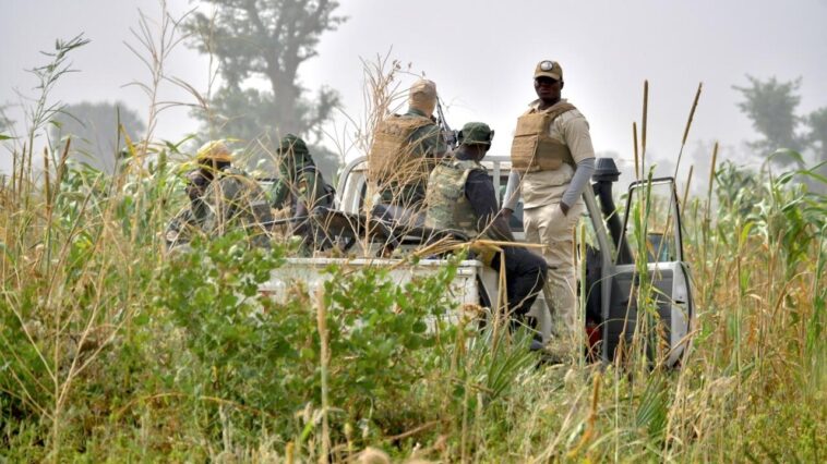 Viols, vols et enlèvements : des bandits venus du Nigeria terrorisent le sud du Niger