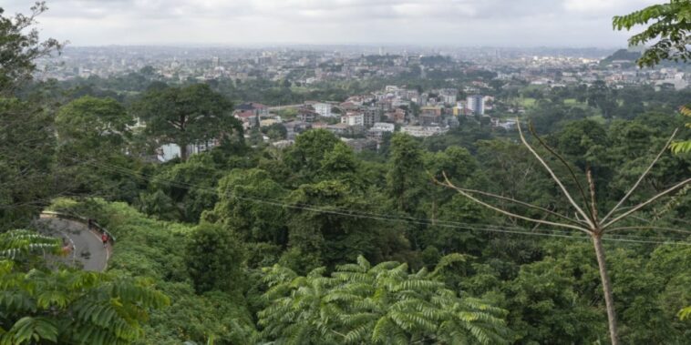 à Yaoundé, un glissement de terrain fait une dizaine de morts – Jeune Afrique