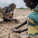 au cœur des enjeux climatiques, le Sahel tente d’enrayer les effets du réchauffement