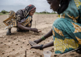 au cœur des enjeux climatiques, le Sahel tente d’enrayer les effets du réchauffement