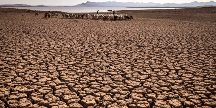 quels enjeux pour l'Afrique, qui subit de plein fouet le changement climatique ?