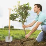 Annecy aide ses habitants à planter 250’000 arbres d’ici 2050