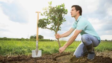 Annecy aide ses habitants à planter 250’000 arbres d’ici 2050