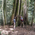 Dans la forêt de Ngangao, au Kenya, la protection de l’environnement sur une ligne de crête