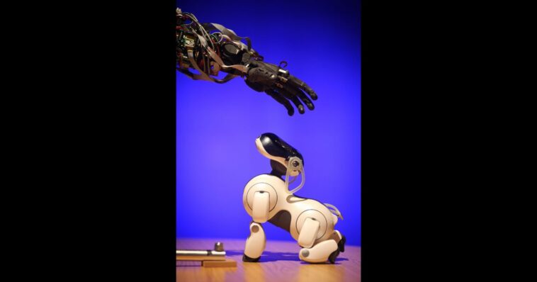 Sony affirme pouvoir fabriquer des robots humanoïdes, mais ne sait pas encore quoi en faire