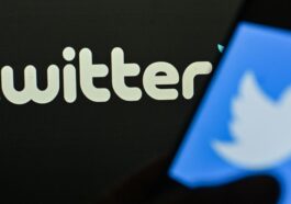 Twitter : les données de 400 millions d'utilisateurs dans les mains d'un hacker