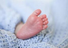 Un cas de syndrome du bébé secoué signalé chez une accueillante d’Ingelmunster