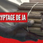 cinq questions pour comprendre l’imbroglio judiciaire autour des cigares Habanos – Jeune Afrique