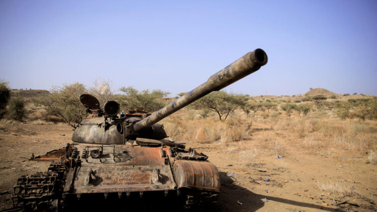 les rebelles du Tigré affirment avoir "désengagé" 65 % de leurs combattants du front