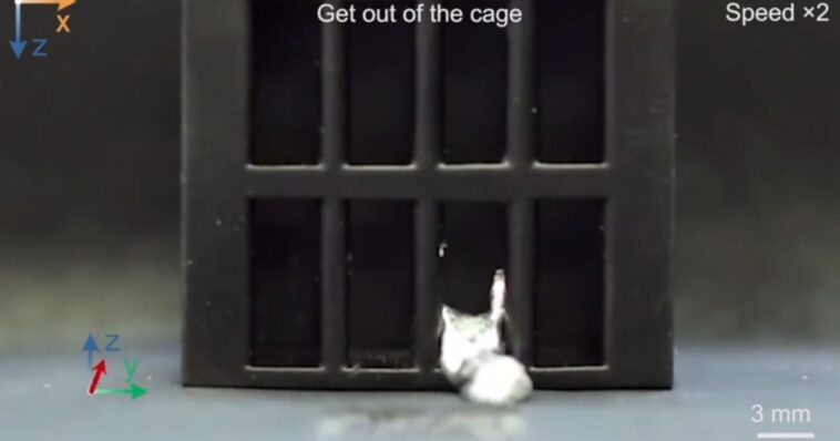 Des scientifiques inventent un robot capable de s'échapper d'une cage en se liquéfiant
