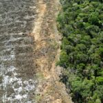 Malgré les bonnes intentions de Lula, la déforestation augmente encore en Amazonie brésilienne