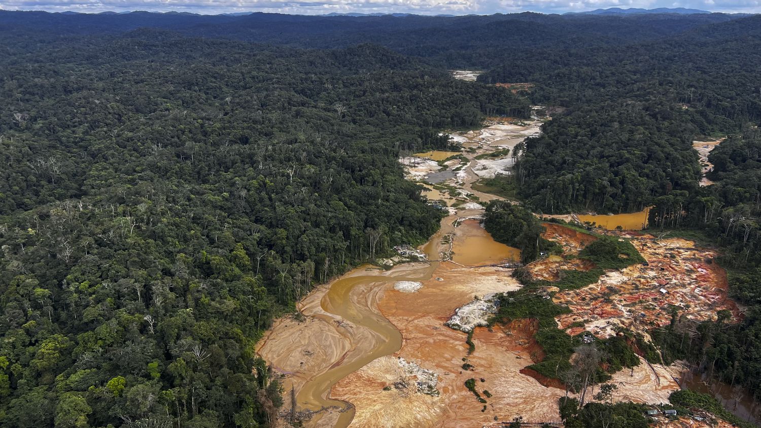 Au Brésil, Greenpeace accuse Hyundai d'être complice de l'orpaillage illégal en Amazonie