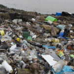 Le Royaume-Uni va-t-il (enfin) interdire les lingettes contenant du plastique ?