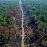 La déforestation tropicale réduit considérablement les précipitations, confirme une étude scientifique