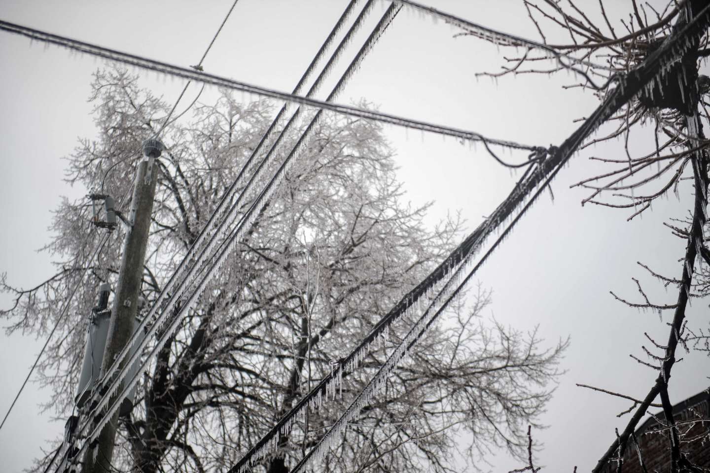des centaines de milliers de foyers toujours privés d’électricité dans l’est du pays