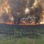 Les producteurs d’énergies fossiles sont à l’origine d’un tiers des feux de forêt en Amérique du Nord