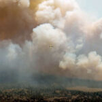 les images dramatiques de feux de forêts « sans précédent »
