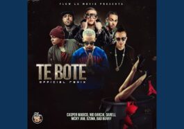 Te Boté (Remix) (feat. Darell, Ozuna & Nicky Jam)