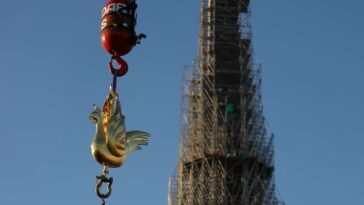 Reconstruction. Notre-Dame de Paris retrouve son coq